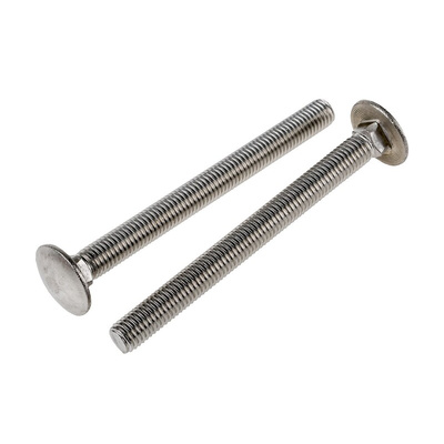 Plain Stainless Steel Coach Bolt, M10 x 110mm