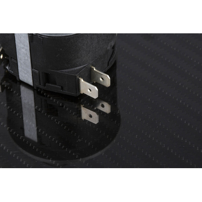RS PRO Panel Mount Timer Relay, 250V ac, 0 → 120min, DPDT