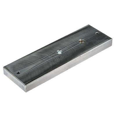 RS PRO Single Door Access Control Door Magnet, 1200lb Holding Force 12 V dc, 24 V dc