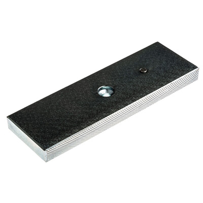 RS PRO Single Door Access Control Door Magnet, 1200lb Holding Force 12 V dc, 24 V dc