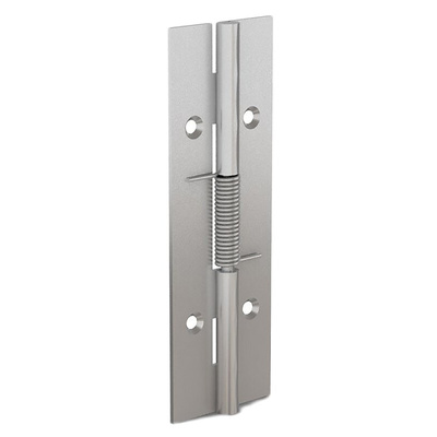 Pinet Stainless Steel Spring Hinge, 120mm x 40mm x 1.5mm