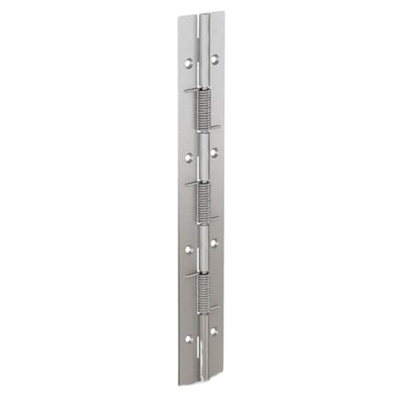 Pinet Steel Spring Hinge, 240mm x 40mm x 1.5mm