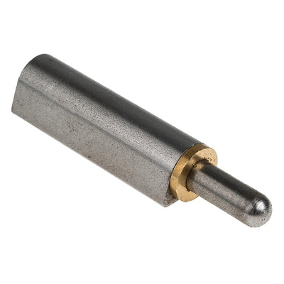 Pinet Steel Bullet Hinge, Weld-on Fixing, 120mm x 20mm x Dia. 9mm