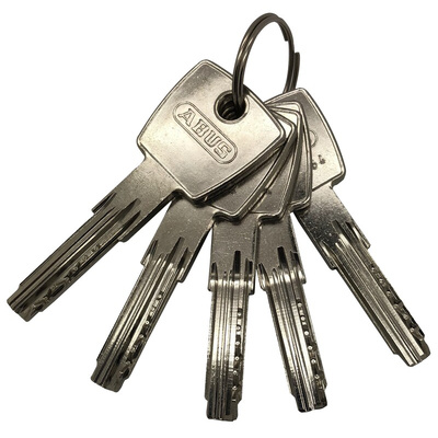 ABUS Brass Euro Cylinder Lock, 30/40 mm (30/40mm)