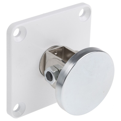 RS PRO Access Control Door Magnet, 100lb Holding Force 24V dc