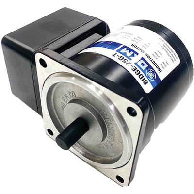 DKM Reversible Induction AC Motor, 25 W, 1 Phase, 4 Pole, 220 V, 240 V