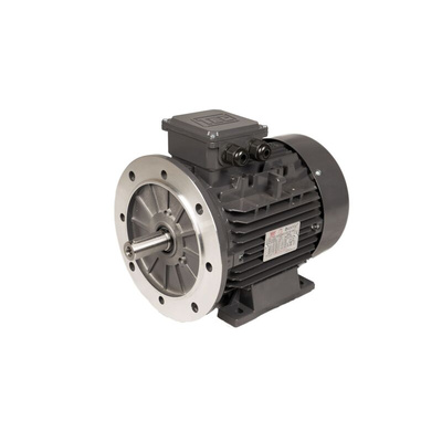 TEC Motors T2A Clockwise AC Motor, 250 W, IE2, 3 Phase, 4 Pole, Foot Mount Mounting