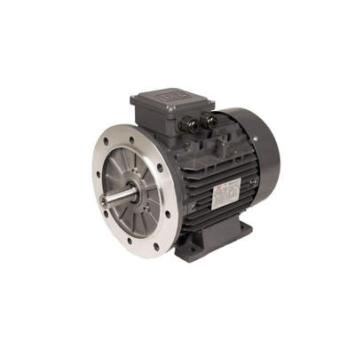 TEC Motors T2A Clockwise AC Motor, 370 W, IE2, 3 Phase, 4 Pole, Foot Mount Mounting