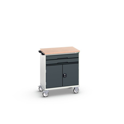 Bott 2 drawer Steel Wheeled Tool Cabinet, 980mm x 800mm x 600mm