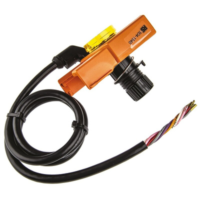 Actuator Switch