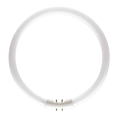 Philips Lighting 40 W TL5 Circular Fluorescent Tubes, 3300 lm, 2GX13