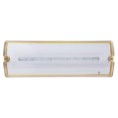 RS PRO 3 W LED Bulkhead Light, 110 V Rectangular Ceiling Light, IP65