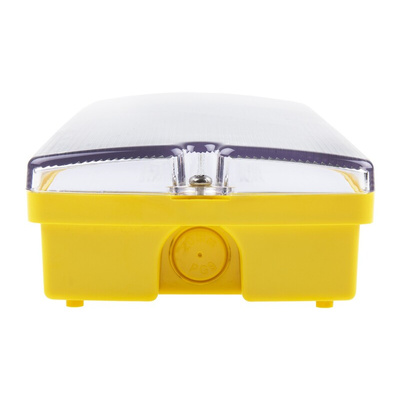 RS PRO 3 W LED Bulkhead Light, 110 V Rectangular Ceiling Light, IP65
