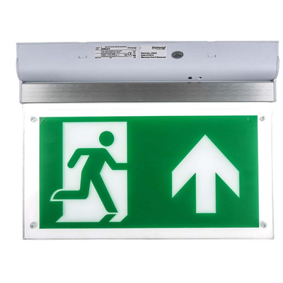 RS PRO LED Emergency Lighting, 4 W, Maintained