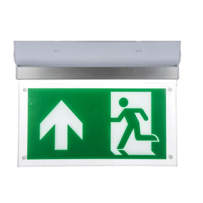 RS PRO LED Emergency Lighting, 4 W, Maintained