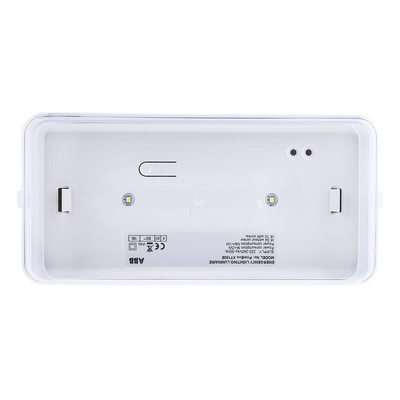 RS PRO LED Emergency Lighting, Bulkhead, 2 x 0.5 W, Maintained, Non Maintained