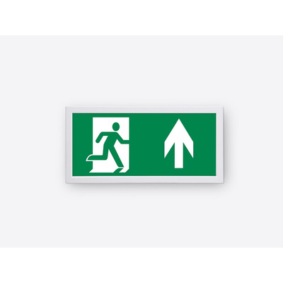 RS PRO LED Emergency Lighting, Recessed, 3 W, Maintained