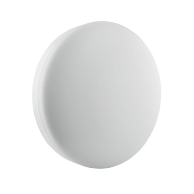 LEDVANCE LED Bulkhead Light, 24 W, 240 V ac