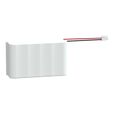 Schneider Electric Emergency Lighting for use with Emergency Light