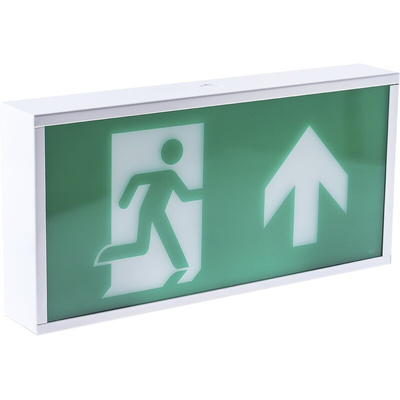 RS PRO LED Emergency Lighting, Bulkhead, 3 W, Maintained