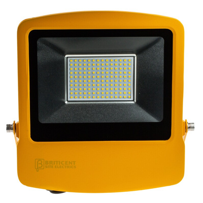 RS PRO Floodlight, 98 LED, 100 W, 9000 lm, IP65, 110 V ac