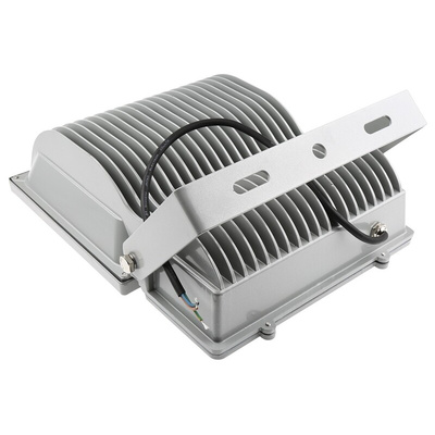 RS PRO Floodlight, 1 LED, 100 W, 8000 → 9000 lm, IP65, 85 → 265 V ac