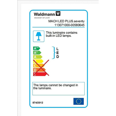 Waldmann LED Machine Light, 18 → 30 V dc, 24 W, 650mm Reach