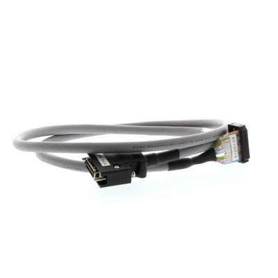 Omron Cable for Use with CJ1M-CPU21/22/23, 1m Length