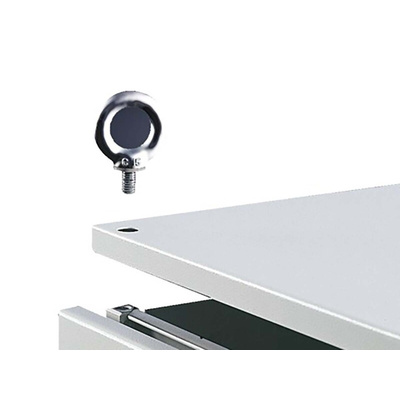 Rittal Stainless Steel Eye Bolt, M12 Thread