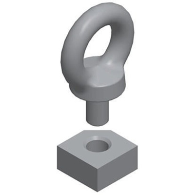 Schneider Electric Steel Eye Bolt