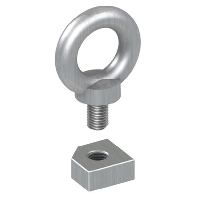 Schneider Electric Steel Eye Bolt