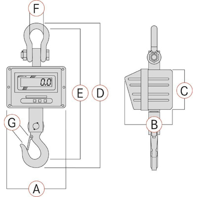 Kern Weighing Scale, 3000kg Weight Capacity