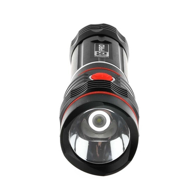 RS PRO LED Torch Black 250 lm, 167 to 226 mm