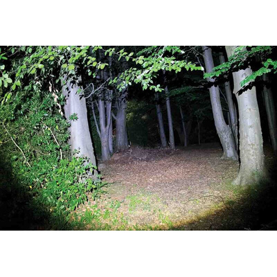 Nightsearcher LED Head Torch 580 lm, 150 m Range