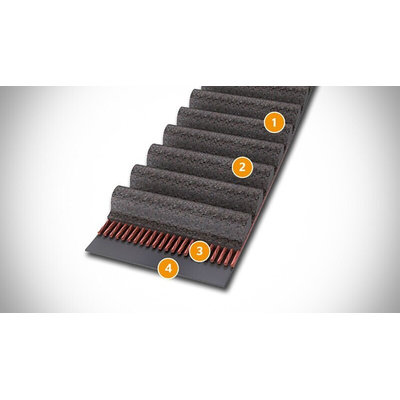 Contitech 800 8M 50 CXP Timing Belt, 100 Teeth, 800mm Length, 50mm Width