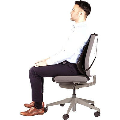 Fellowes Black Mesh Back Support