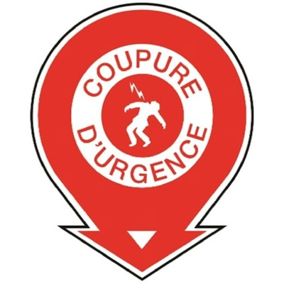 Brady PET Mandatory Emergency Stop Sign With French Text