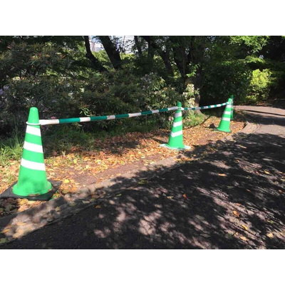 RS PRO Green, White Plastic Bar