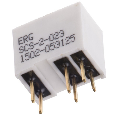 ERG 2 Way Through Hole DIP Switch DPDT