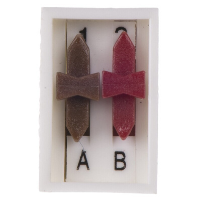 ERG 2 Way Through Hole DIP Switch DPDT