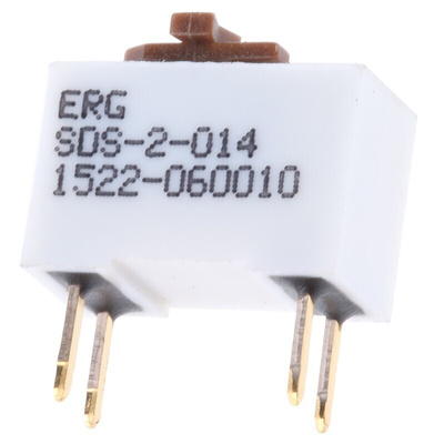 ERG 2 Way Through Hole DIP Switch SPST