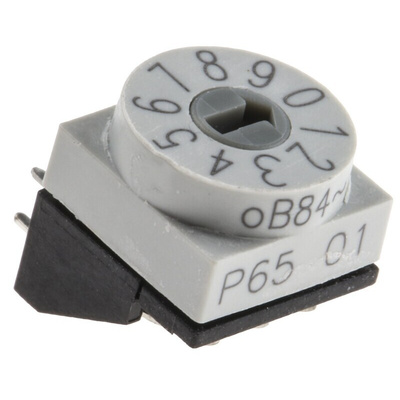 Hartmann 10 Way Through Hole DIP Switch, Slot Actuator