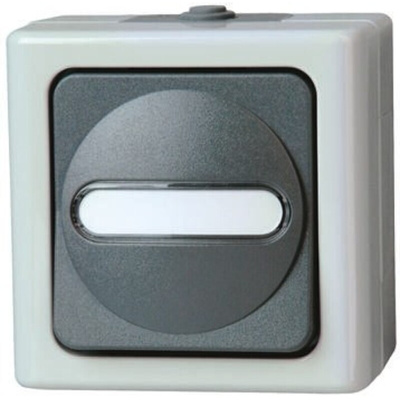 Kopp Grey Wet Room Switch