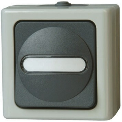 Kopp Grey Wet Room Switch