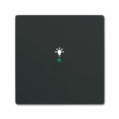 ABB Black Light Switch Cover