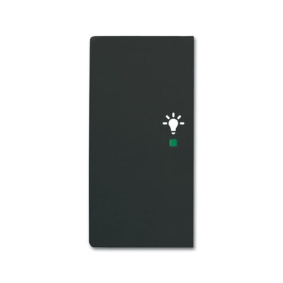 ABB Black 2 Gang Light Switch Cover