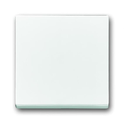 ABB White 1 Gang Light Switch Cover