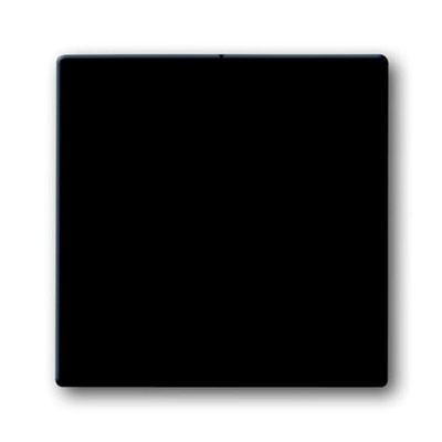 ABB Black 2 Gang Light Switch Cover