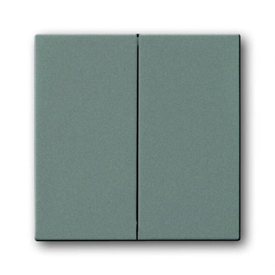 ABB Grey 2 Gang Light Switch Cover