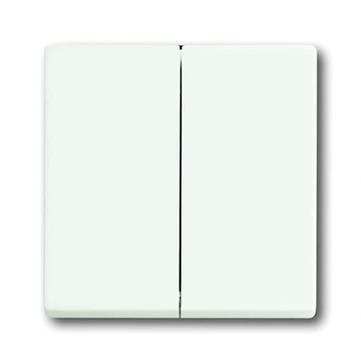 ABB White 2 Gang Light Switch Cover